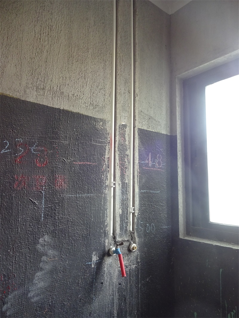 DSC07250.JPG