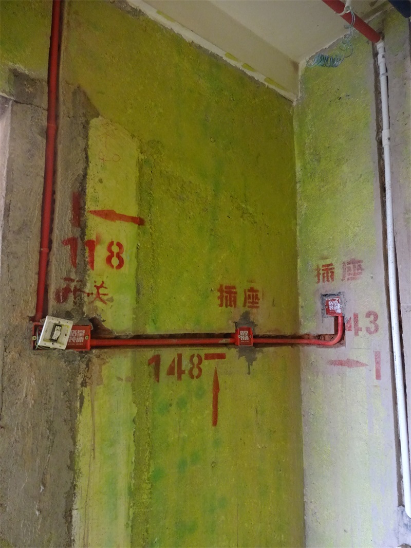 DSC08104.JPG