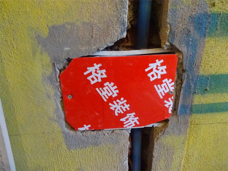 DSC08266.JPG