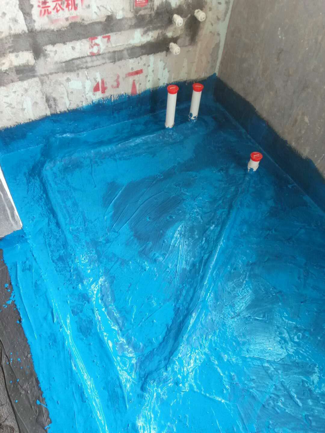 12672364319984808.jpg