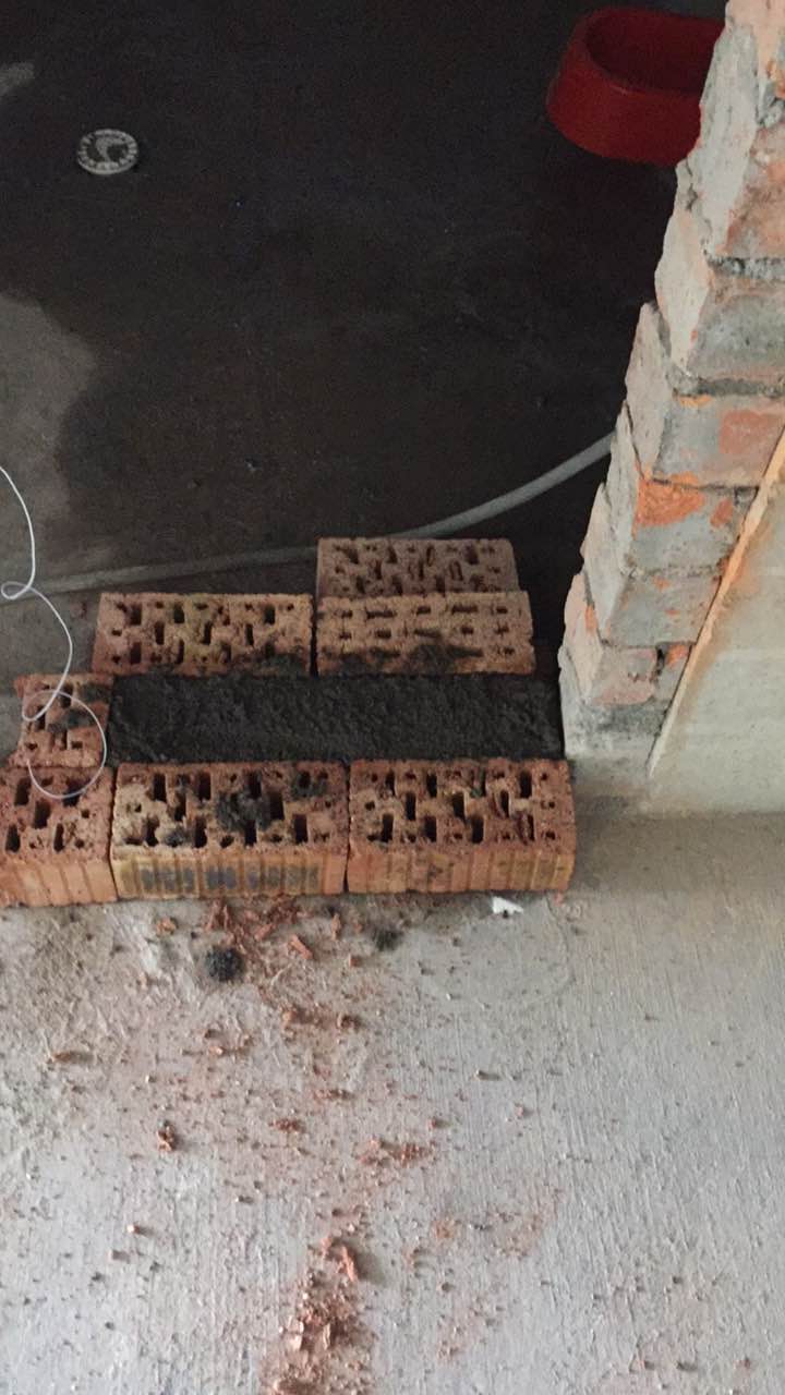 453103010442106543.jpg