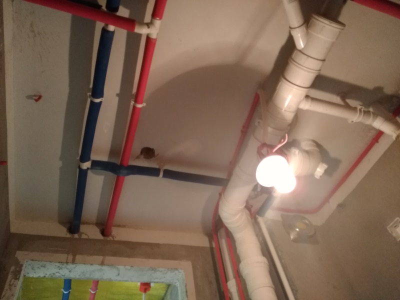 IMG_20180111_090529.jpg