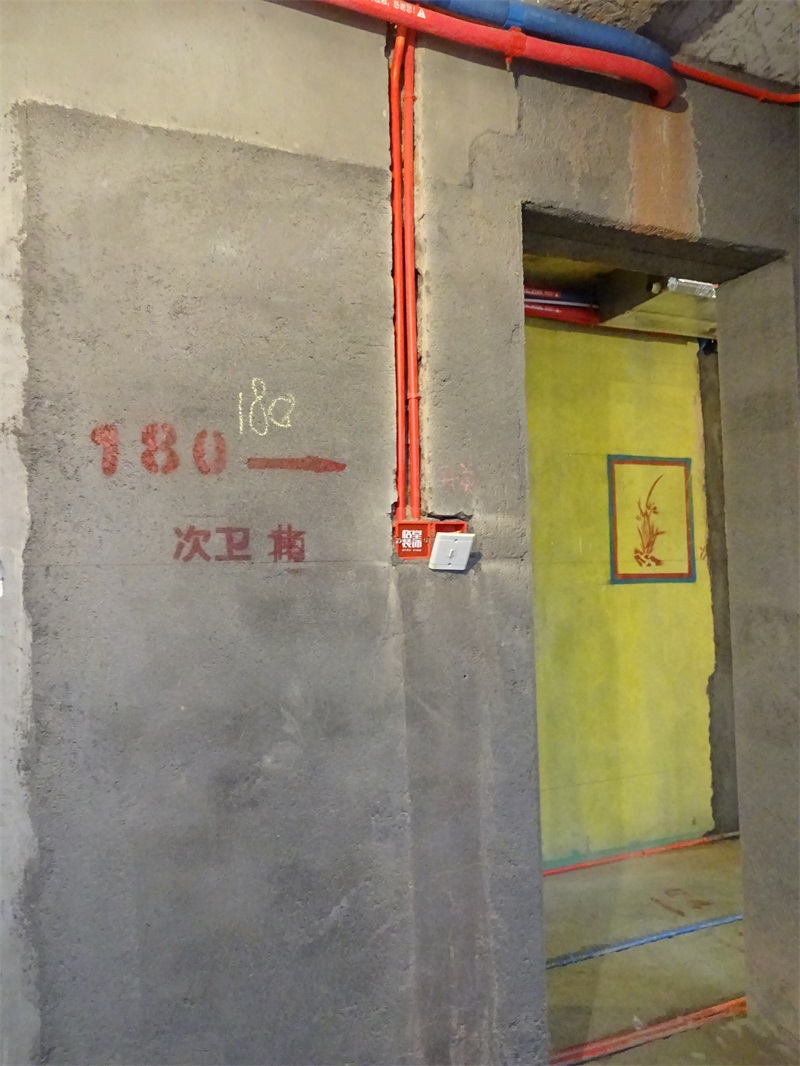 DSC08550.JPG