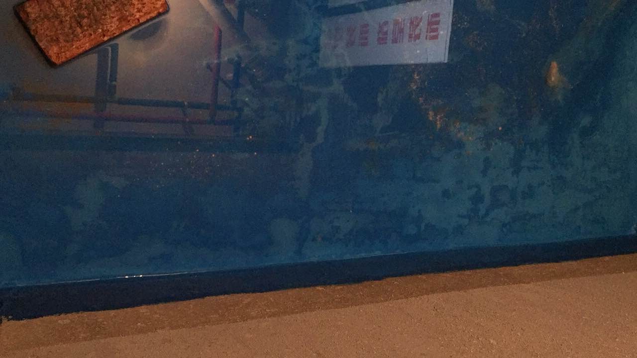 514662887102221711.jpg