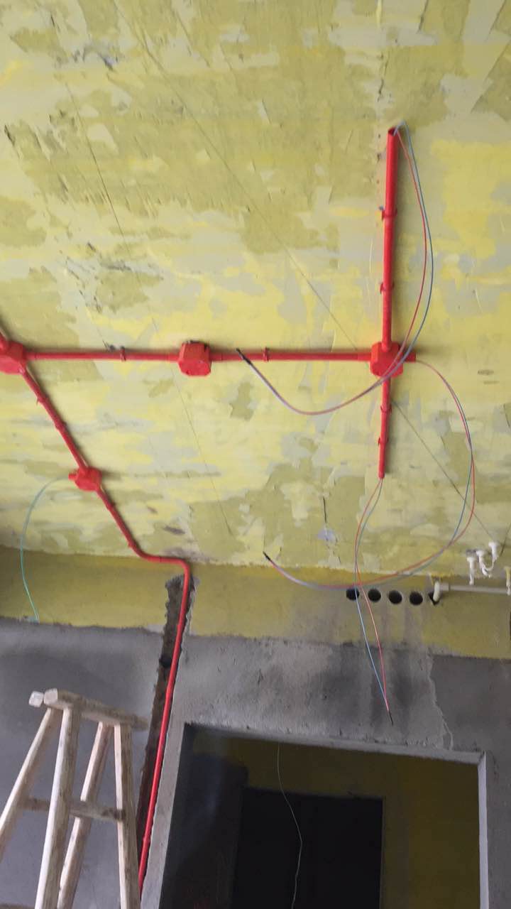 514044346669672044.jpg