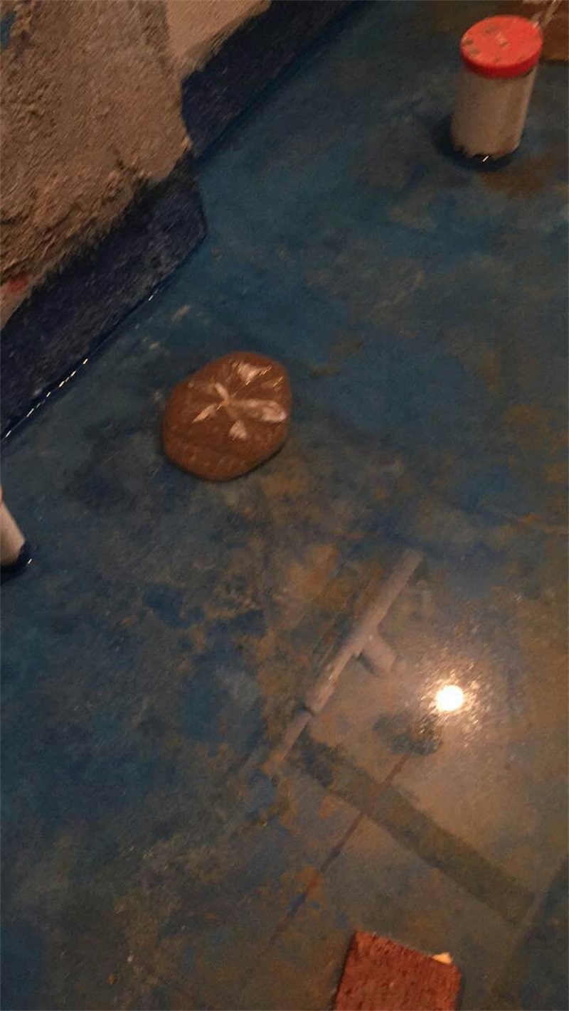 mmexport1517988875216.jpg