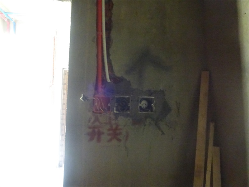 DSC08928.JPG