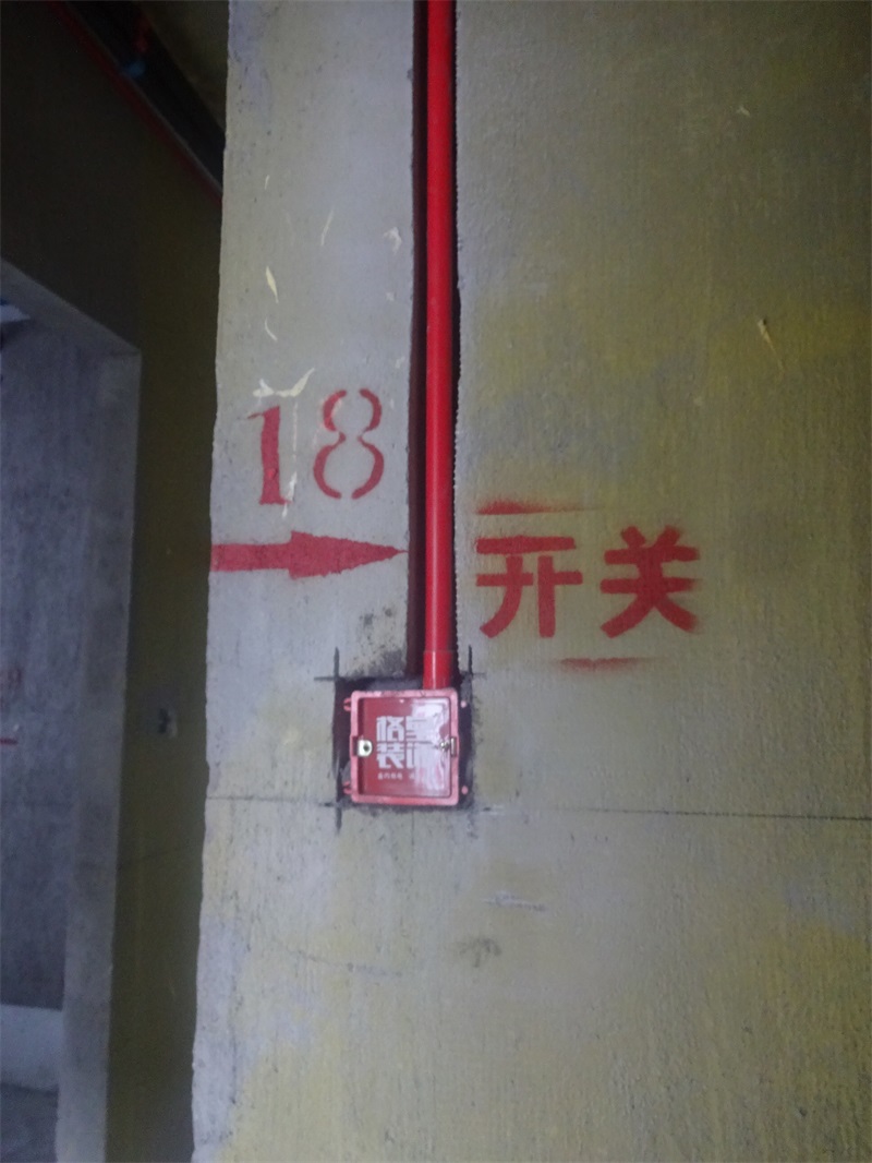DSC09127.JPG
