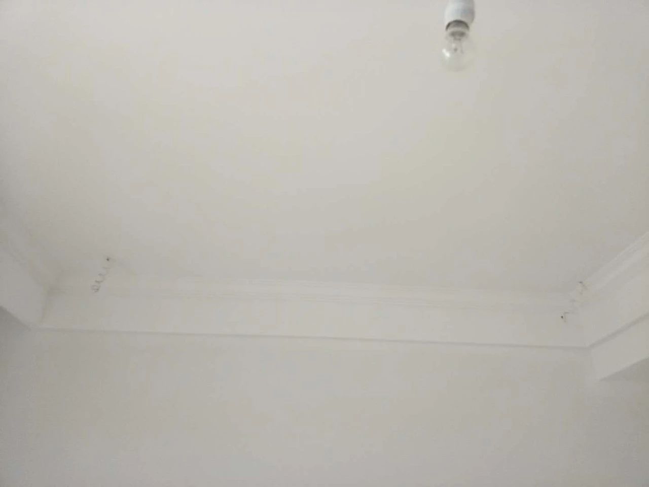 ade9b812ec4e43ce730822861fbb04ea.jpg