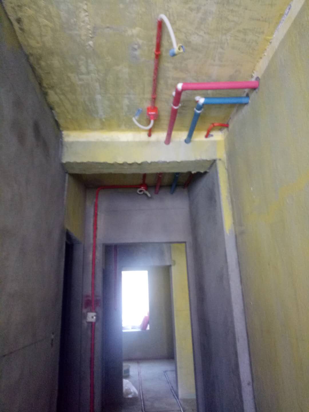 315817215352907407.jpg