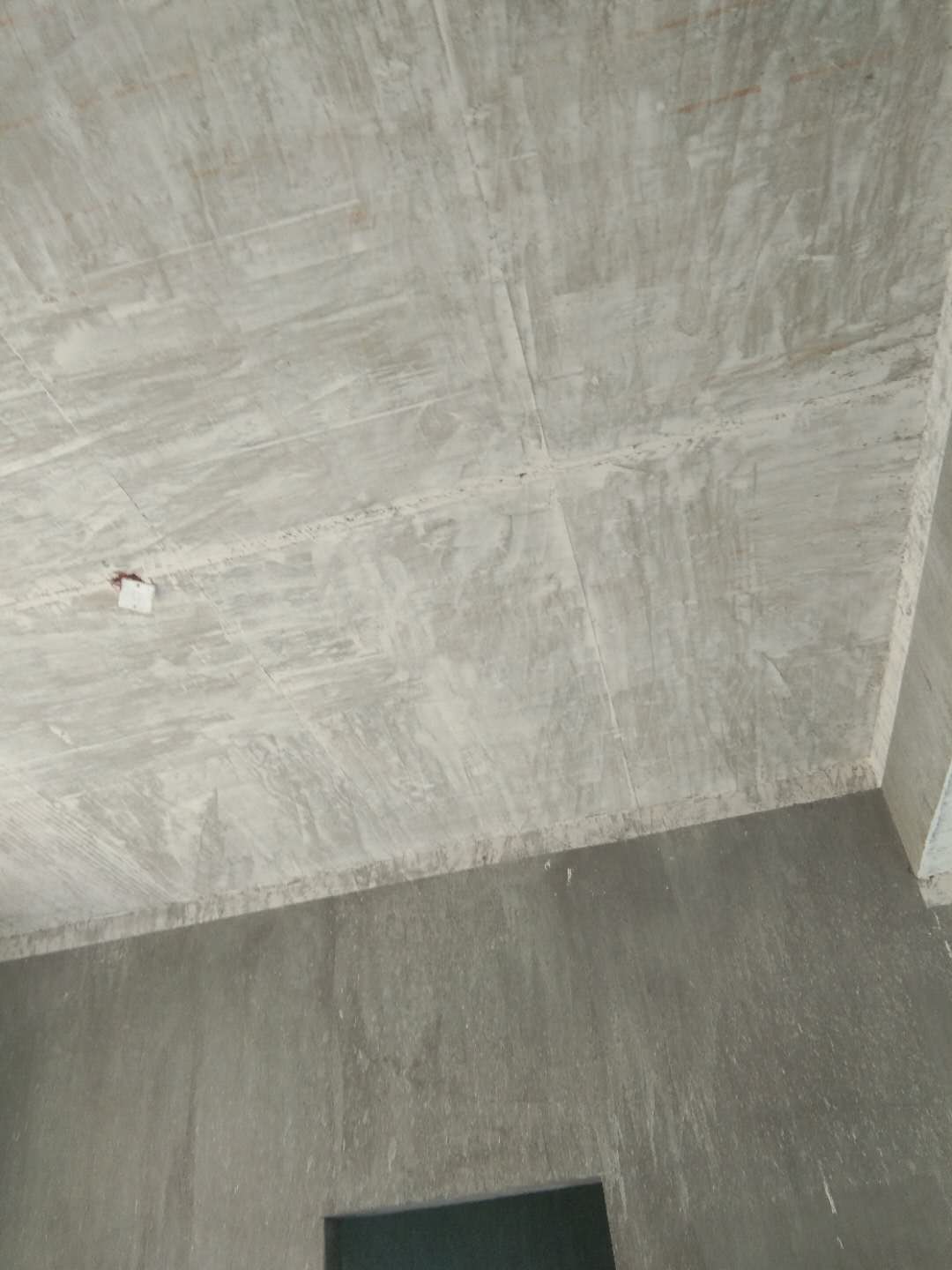 454273138309425925.jpg