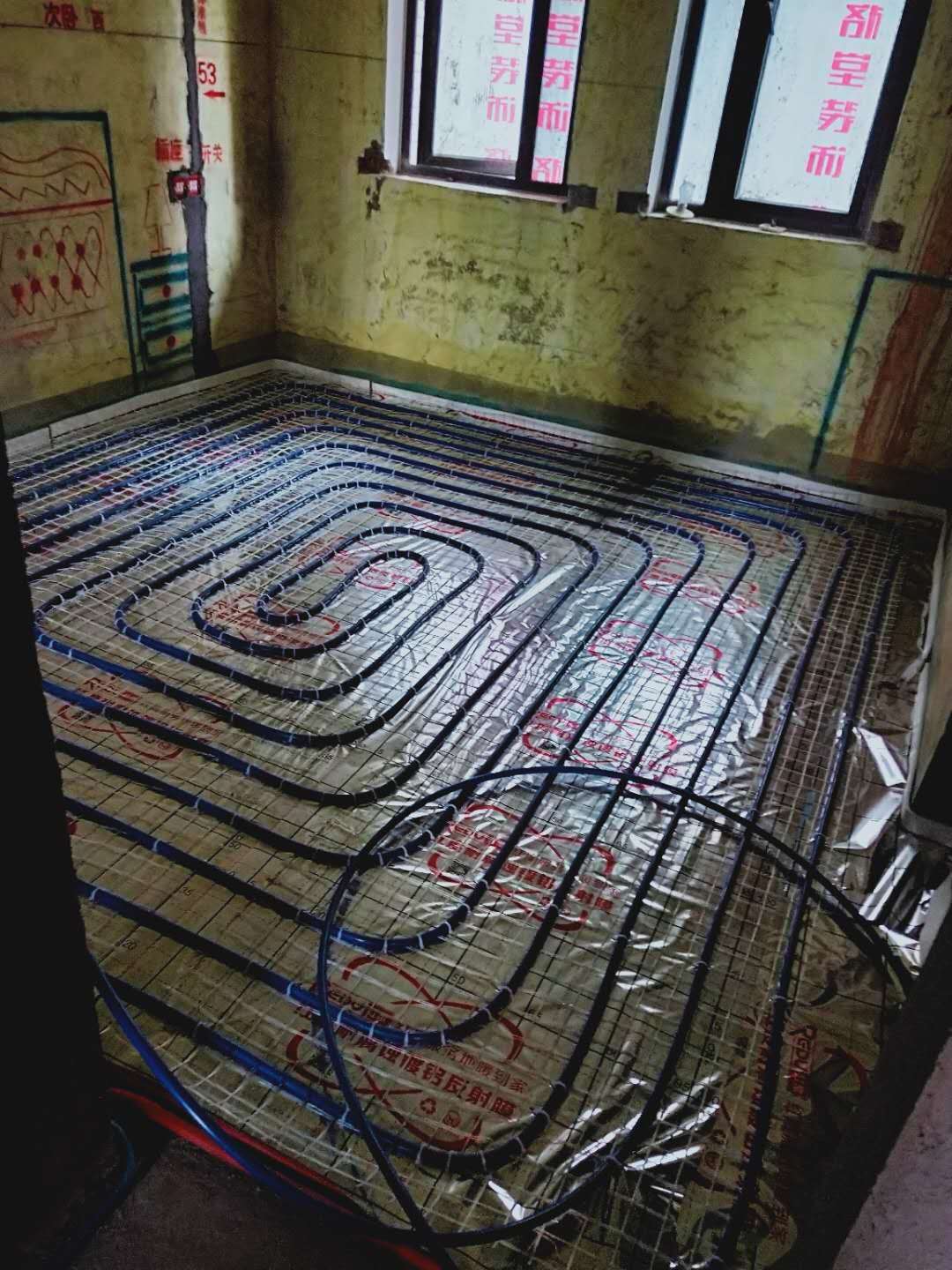 465887357287555787.jpg