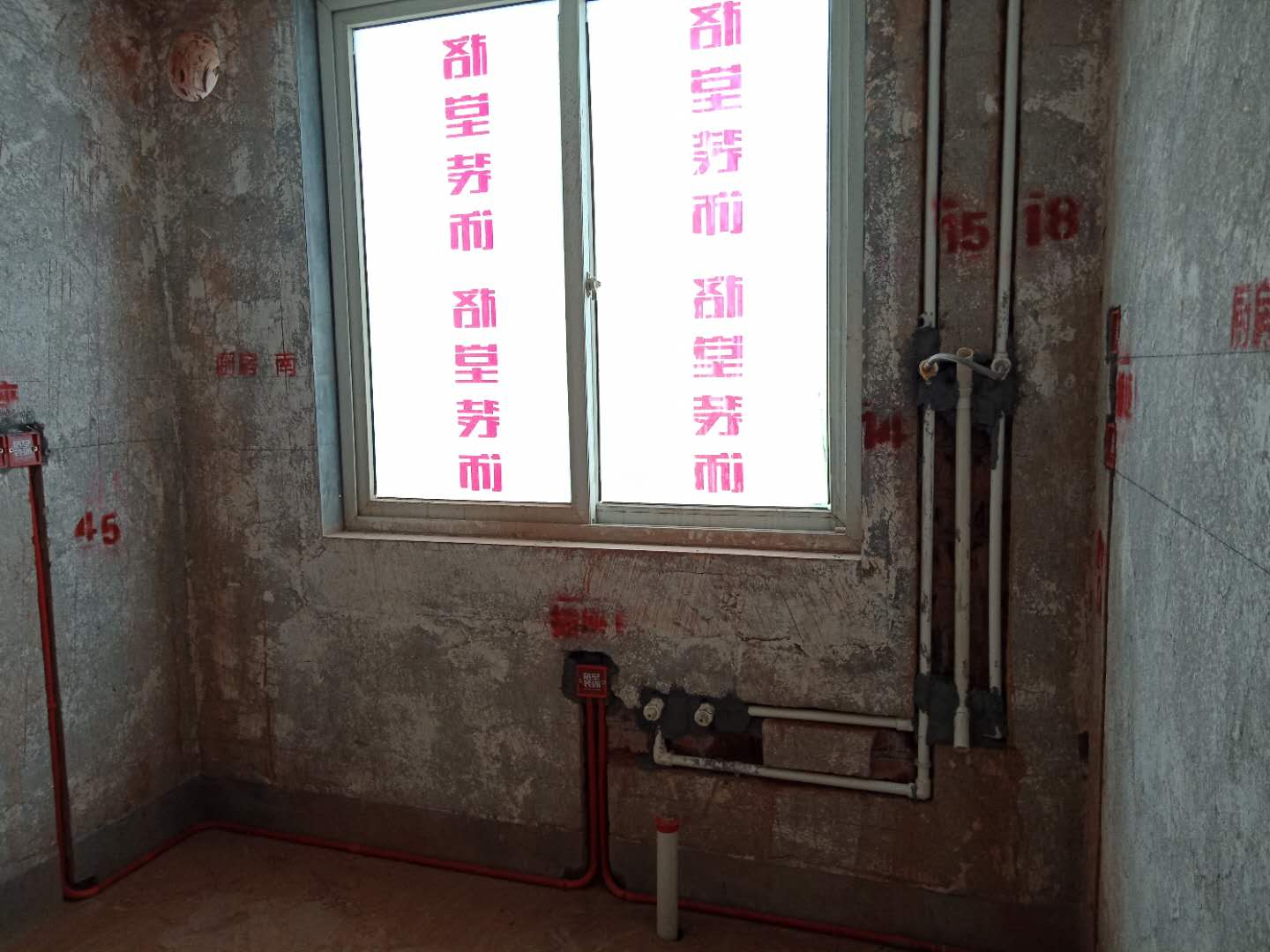 33948712713737428.jpg