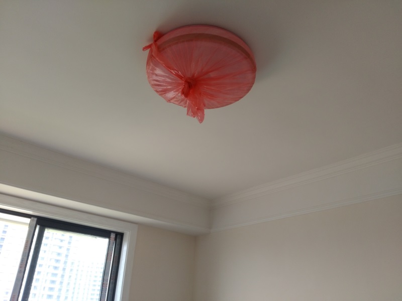IMG_20180403_131247.jpg