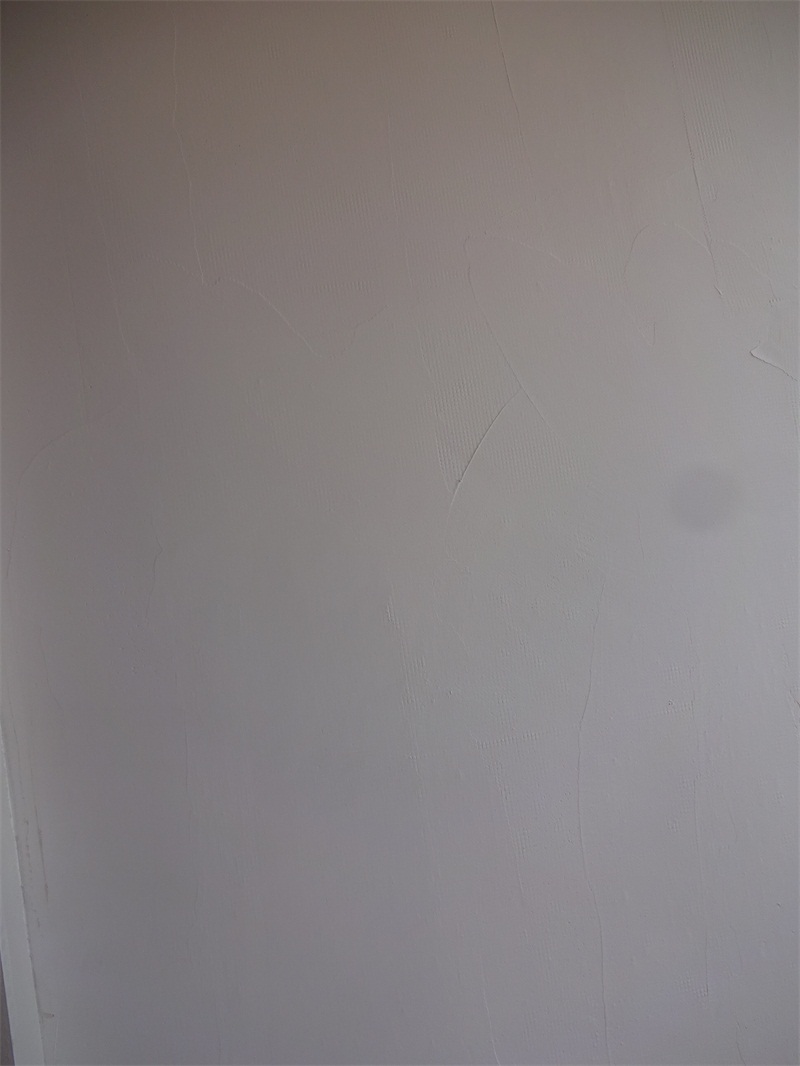 DSC00831.JPG