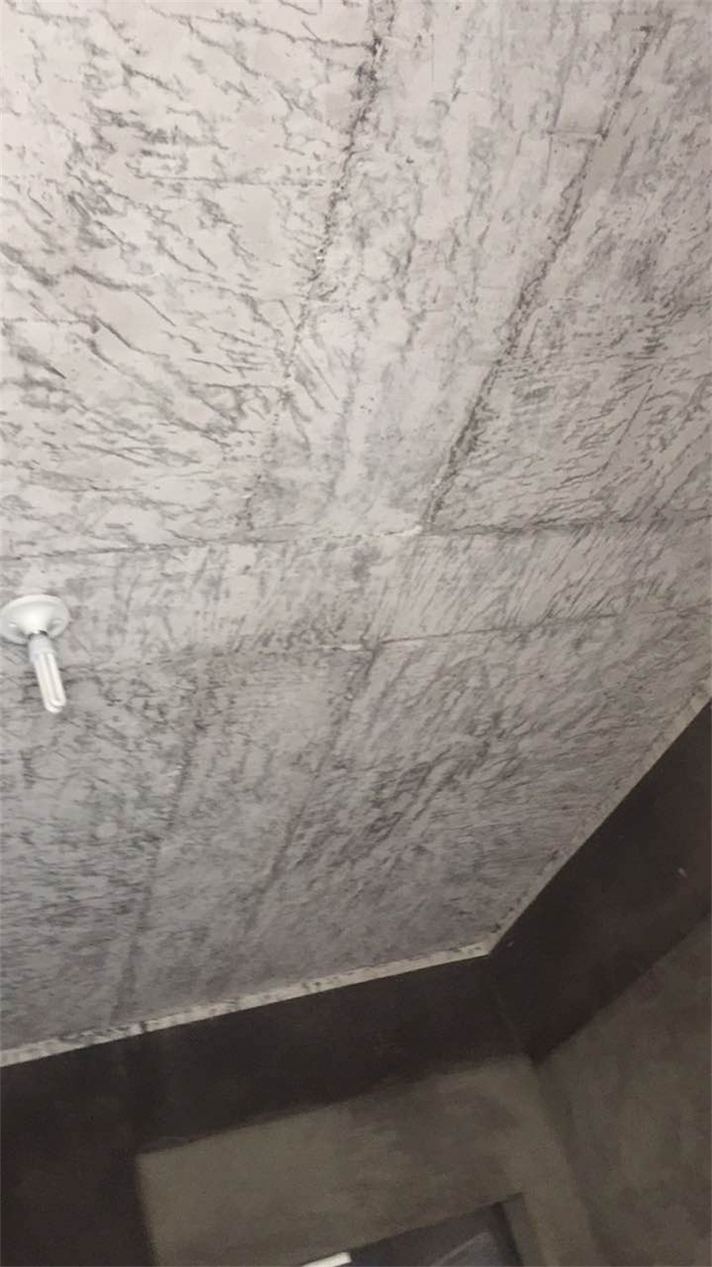 392193426968694318.jpg