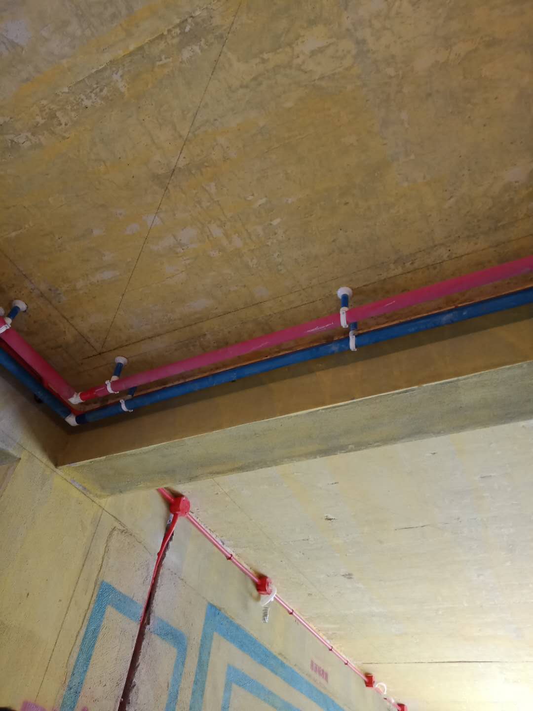 228429420435226693.jpg