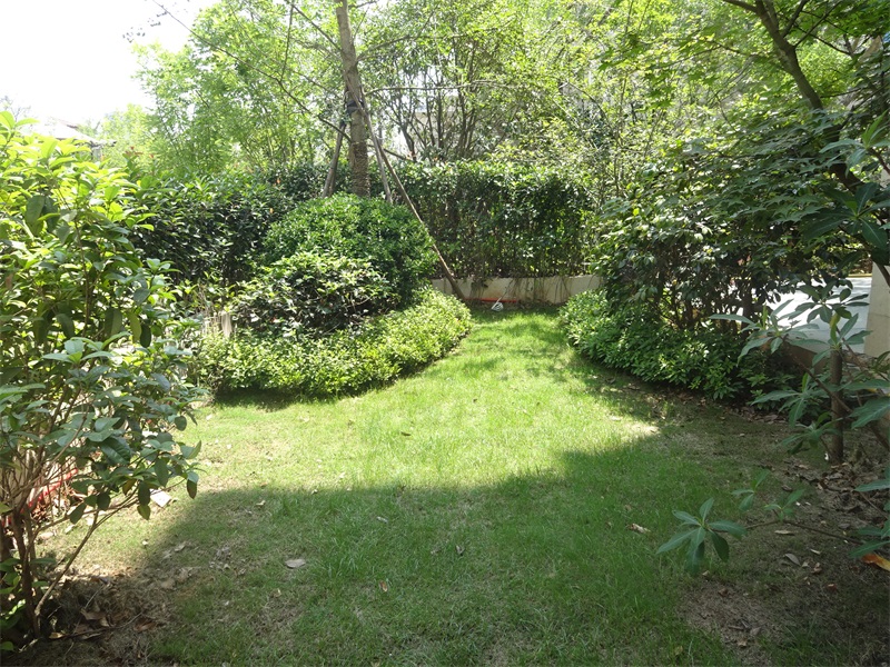DSC01651.JPG