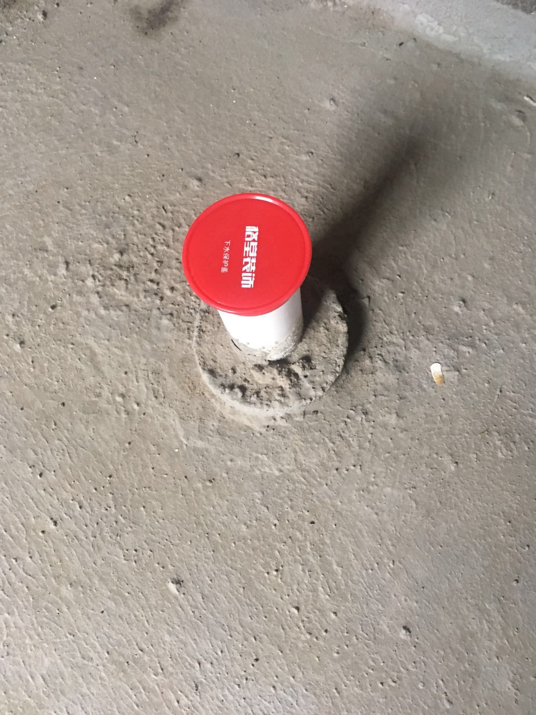 453062729341861333.jpg