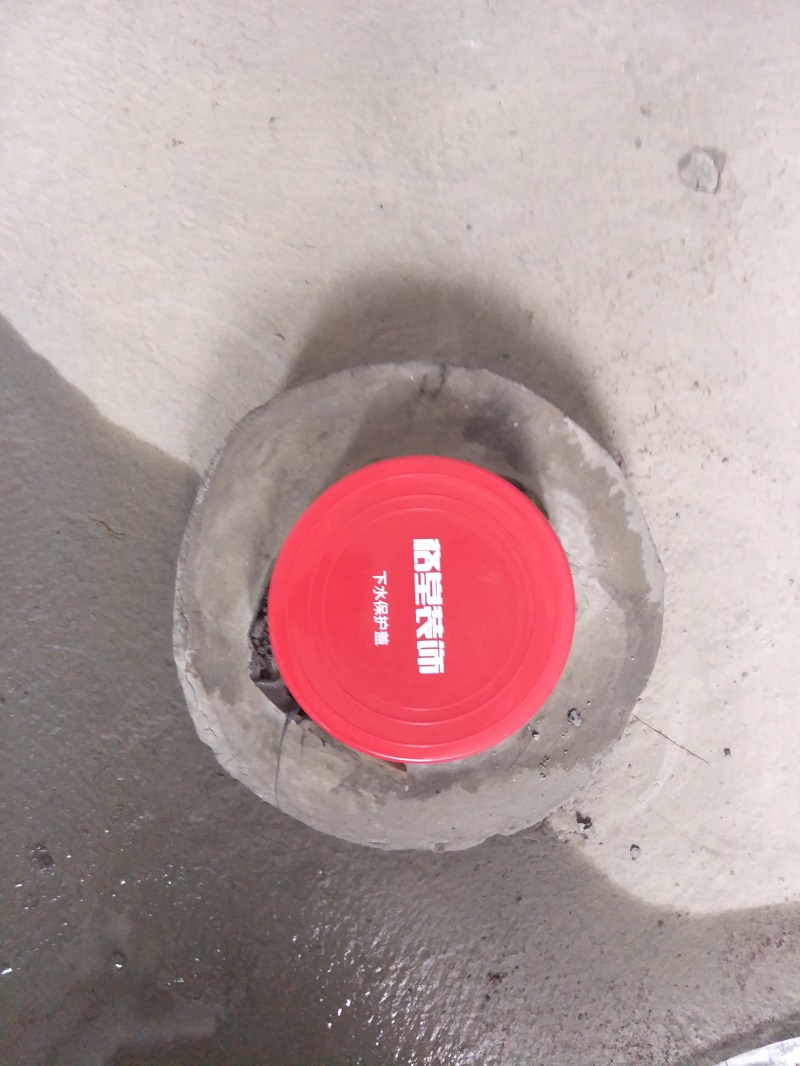 IMG20180530095502.jpg