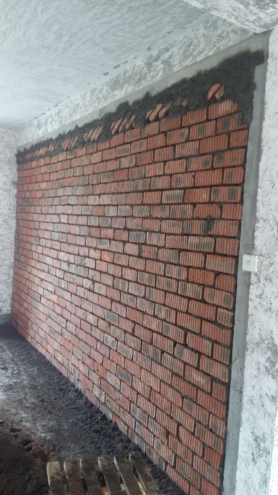 75183279401092308.jpg