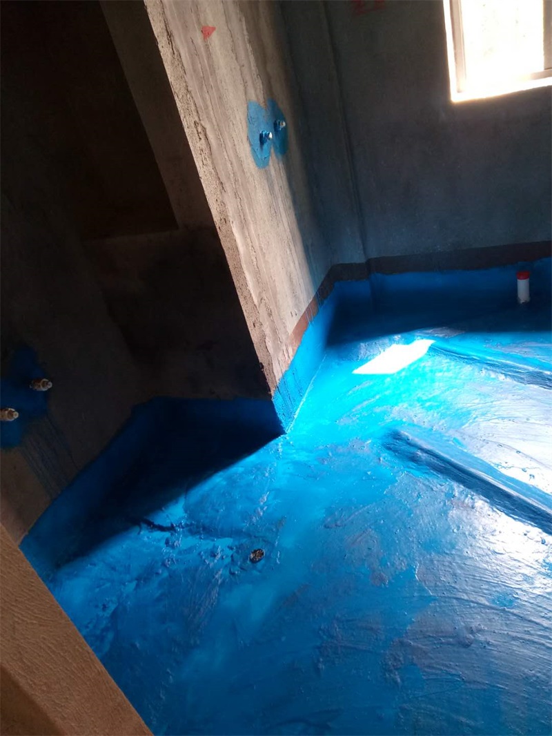 164216633656704516.jpg
