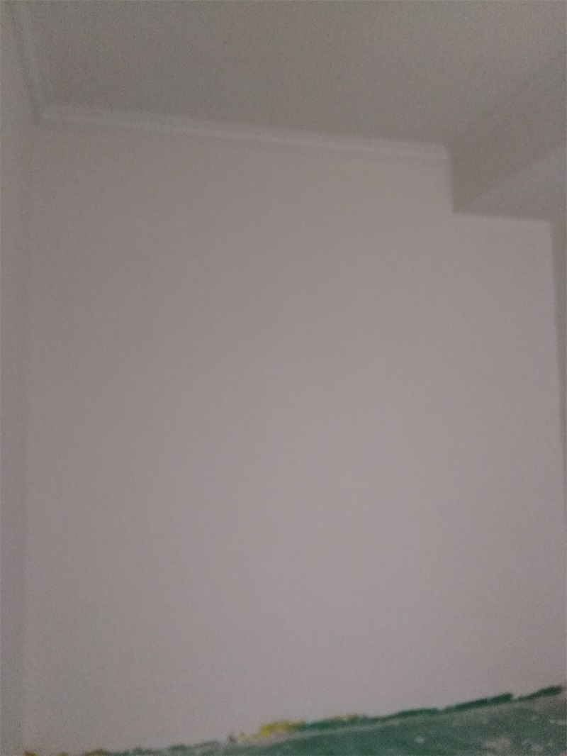 IMG_20180522_145325.jpg