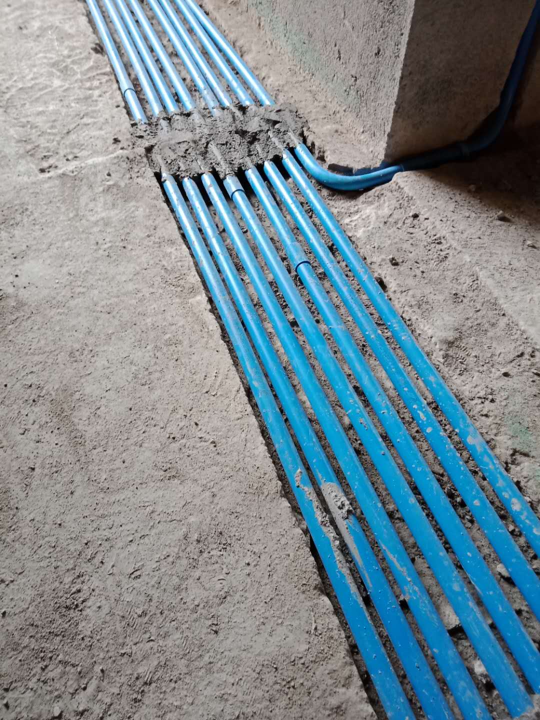 45402728461361731.jpg