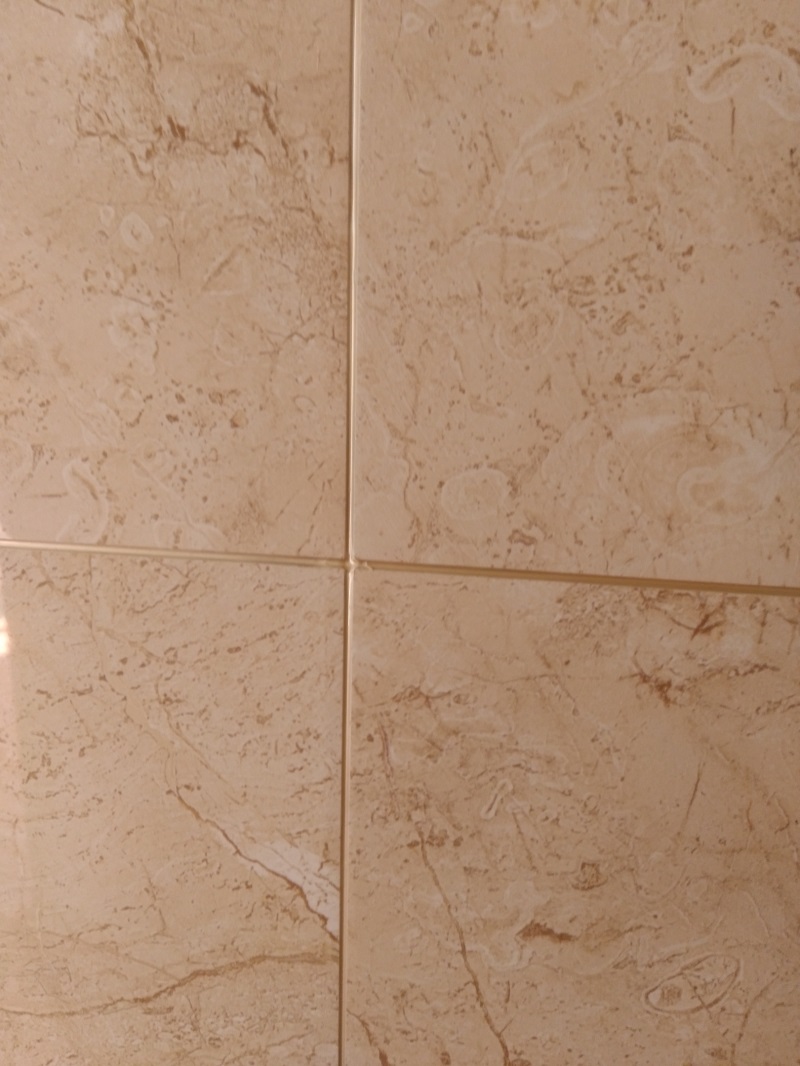 IMG_20180524_151427.jpg