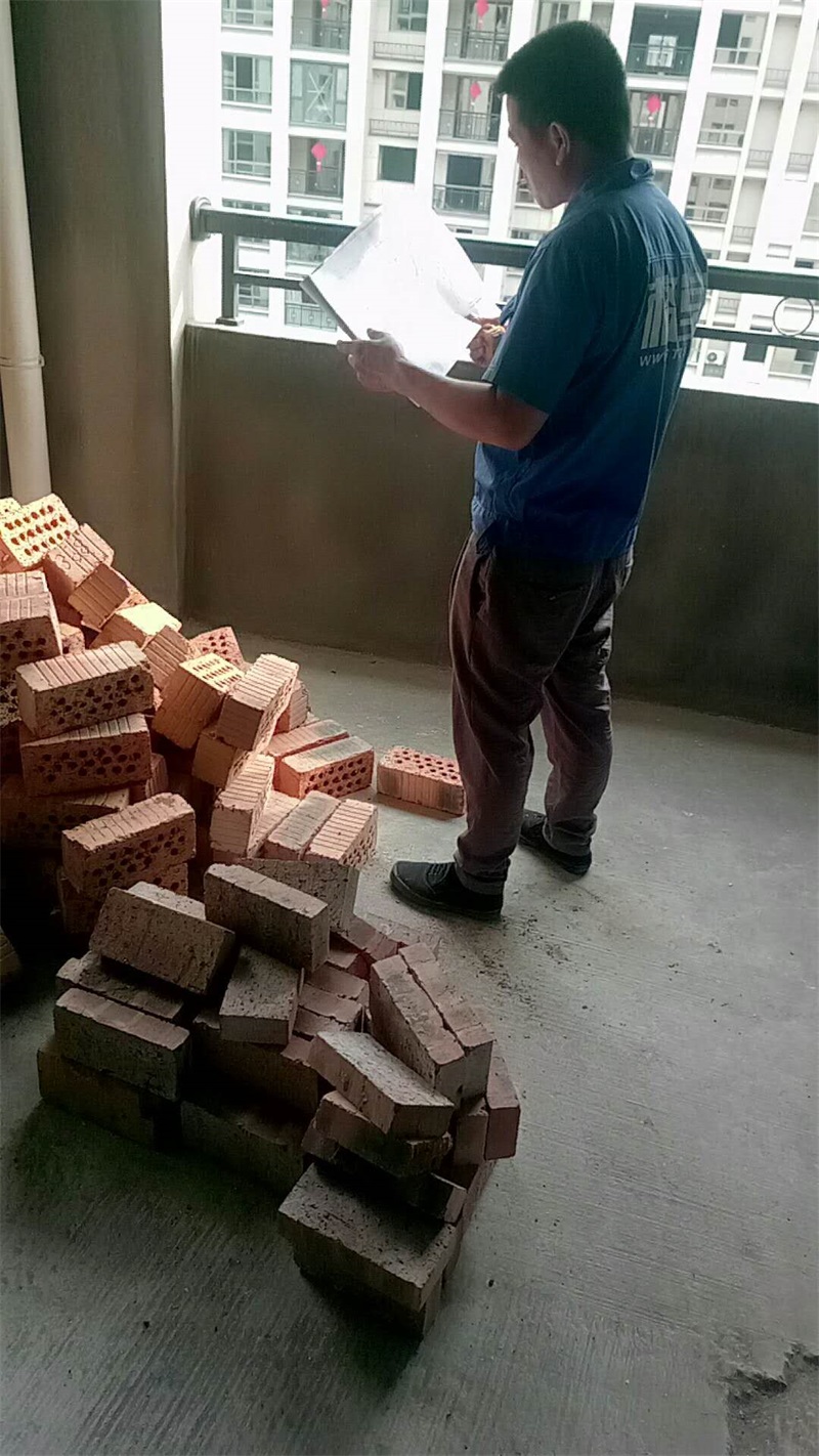 445545769475206443.jpg