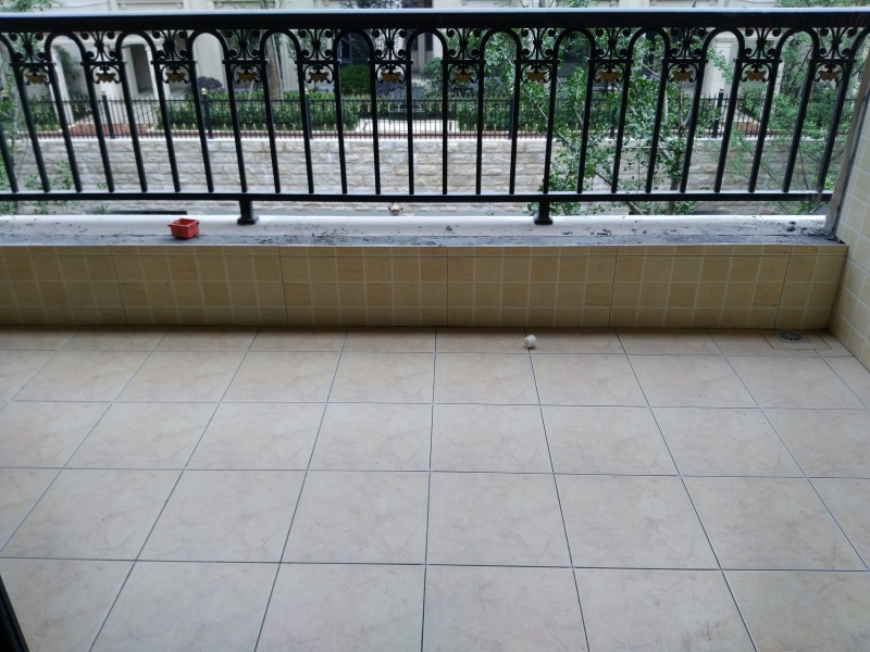 IMG_20180527_111440.jpg
