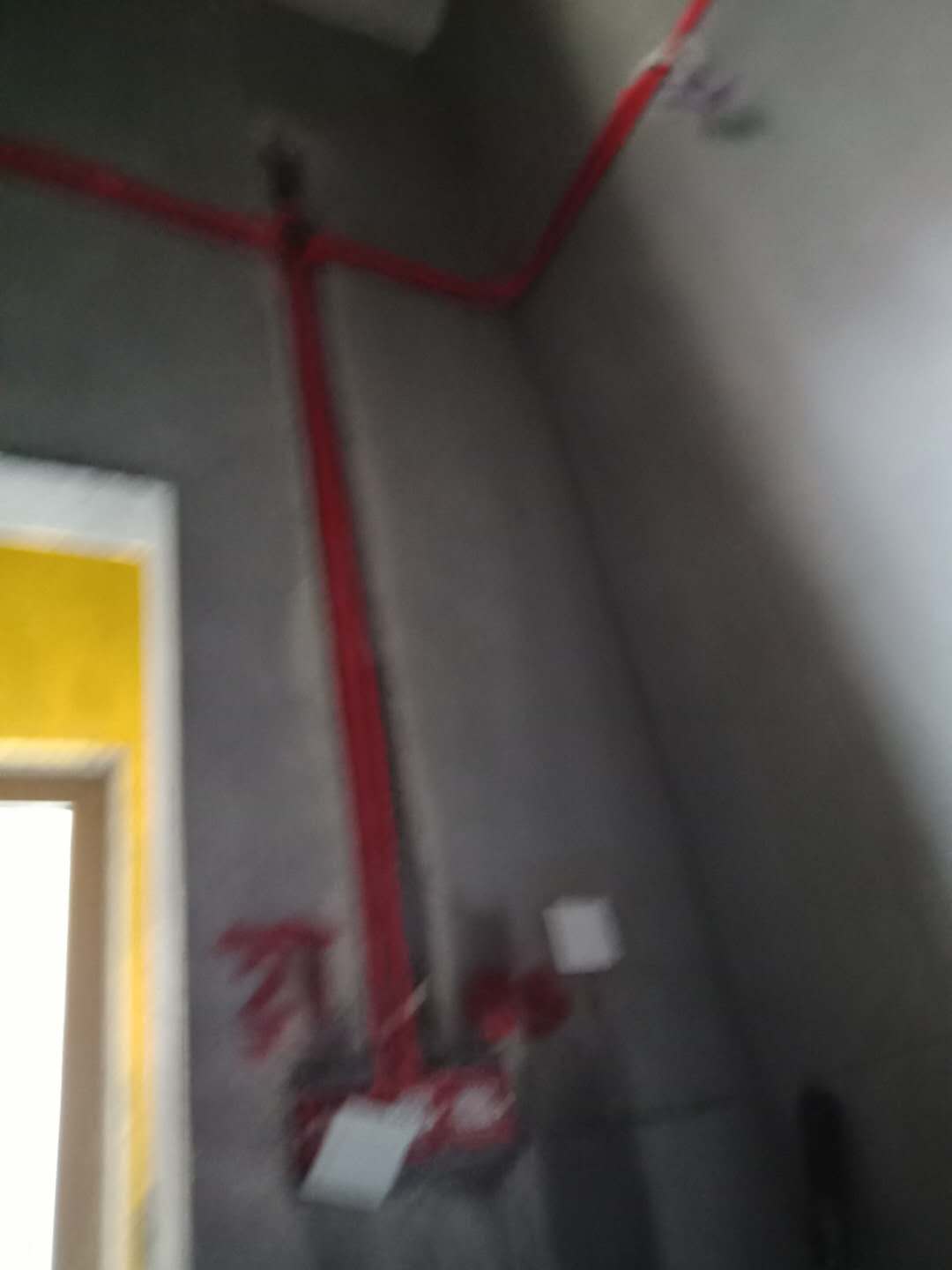 672259977275398195.jpg