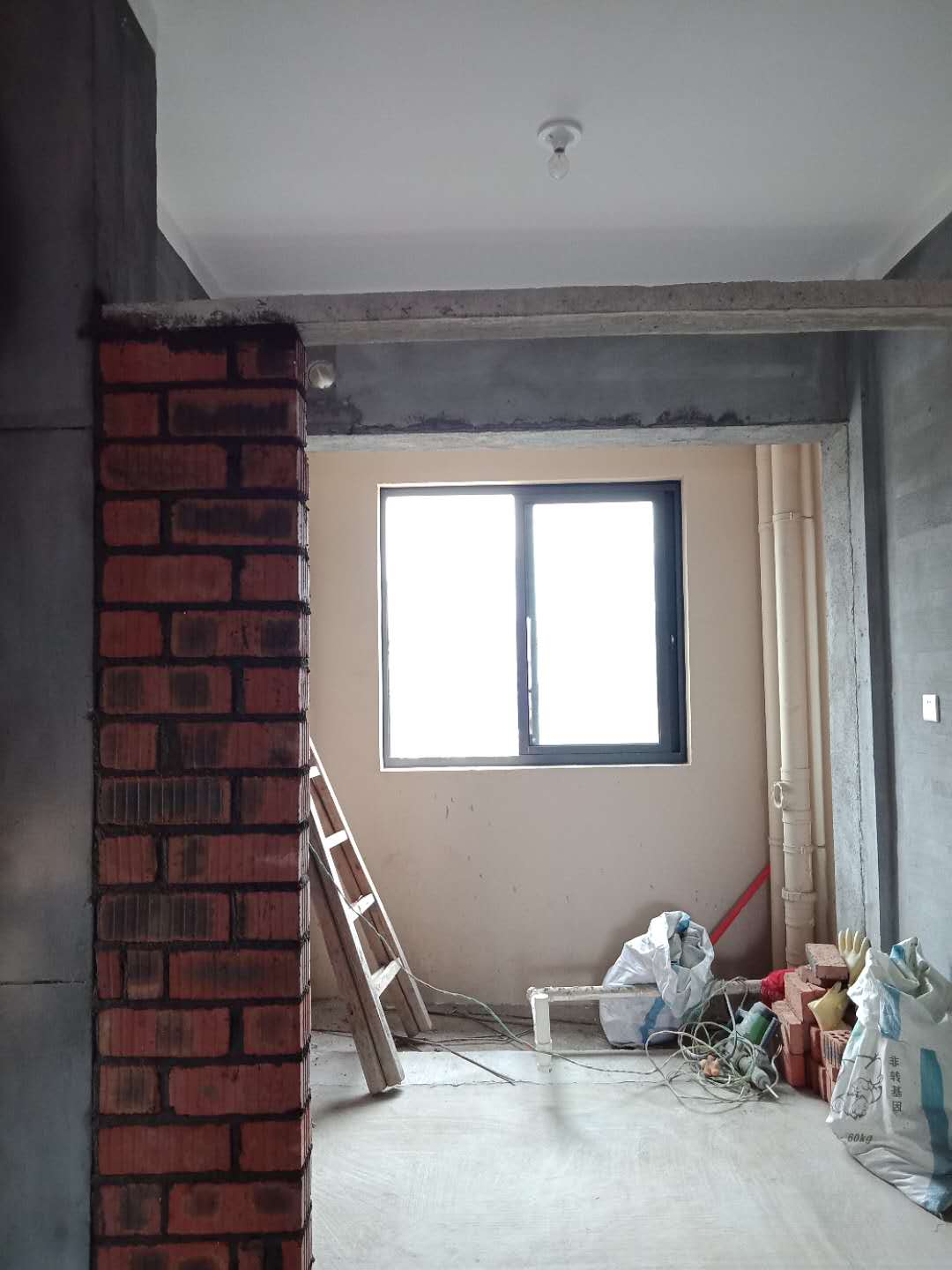 910155576665330178.jpg