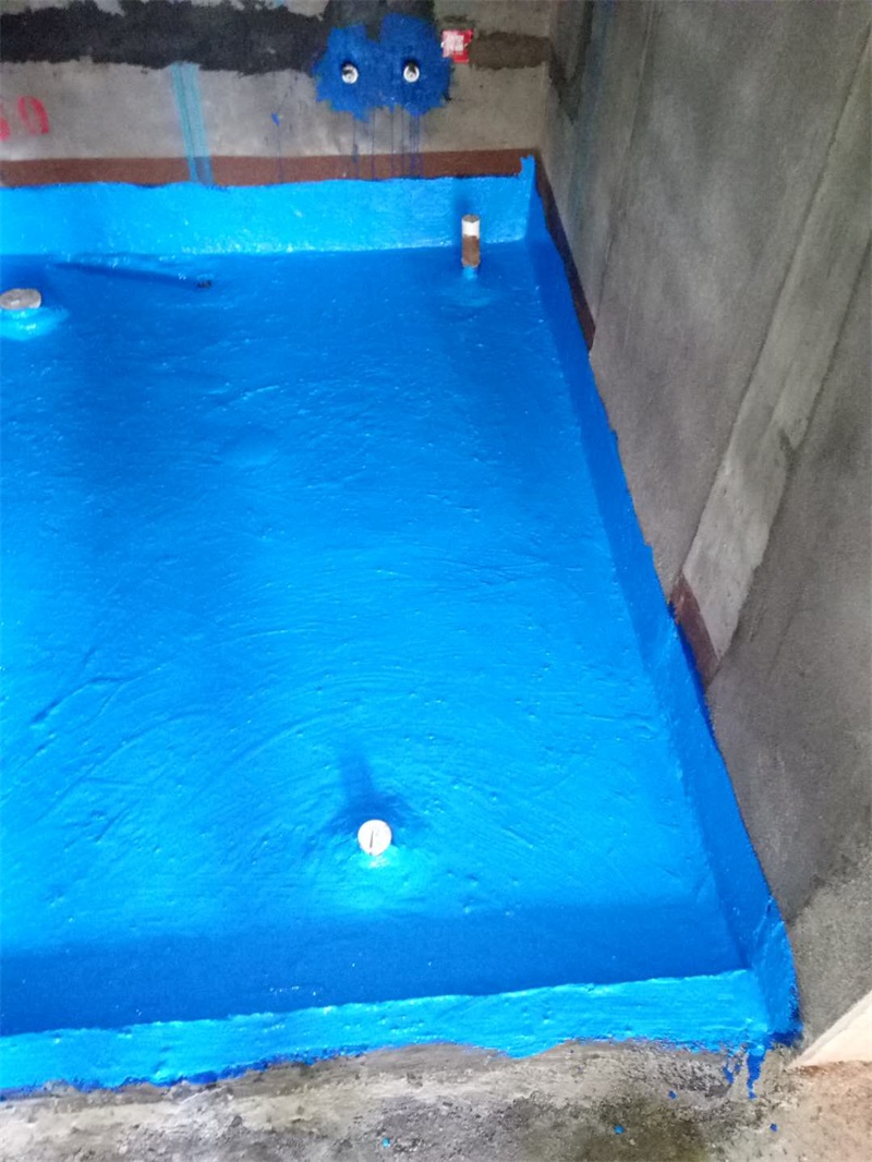 12457253532341648.jpg