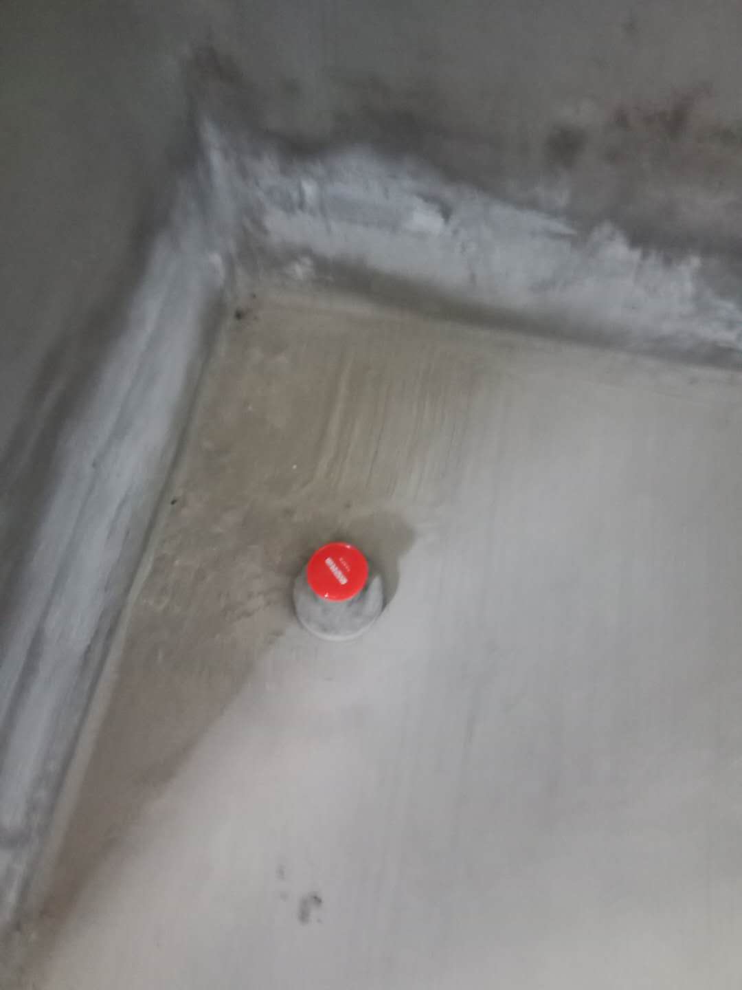 323775516619320561.jpg