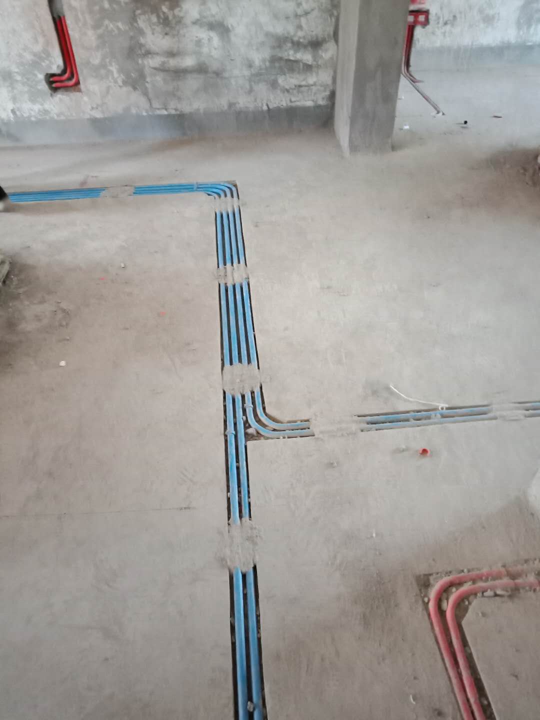 65363516788132650.jpg