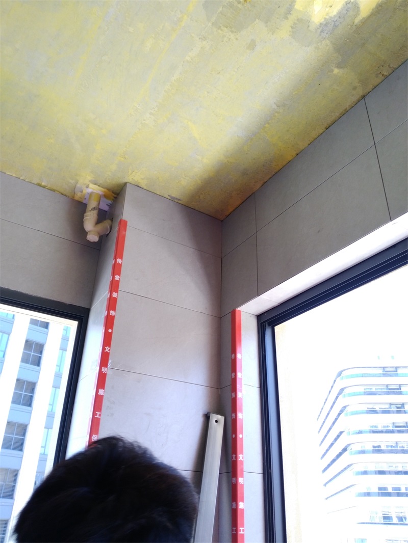 IMG_20180625_103445.jpg