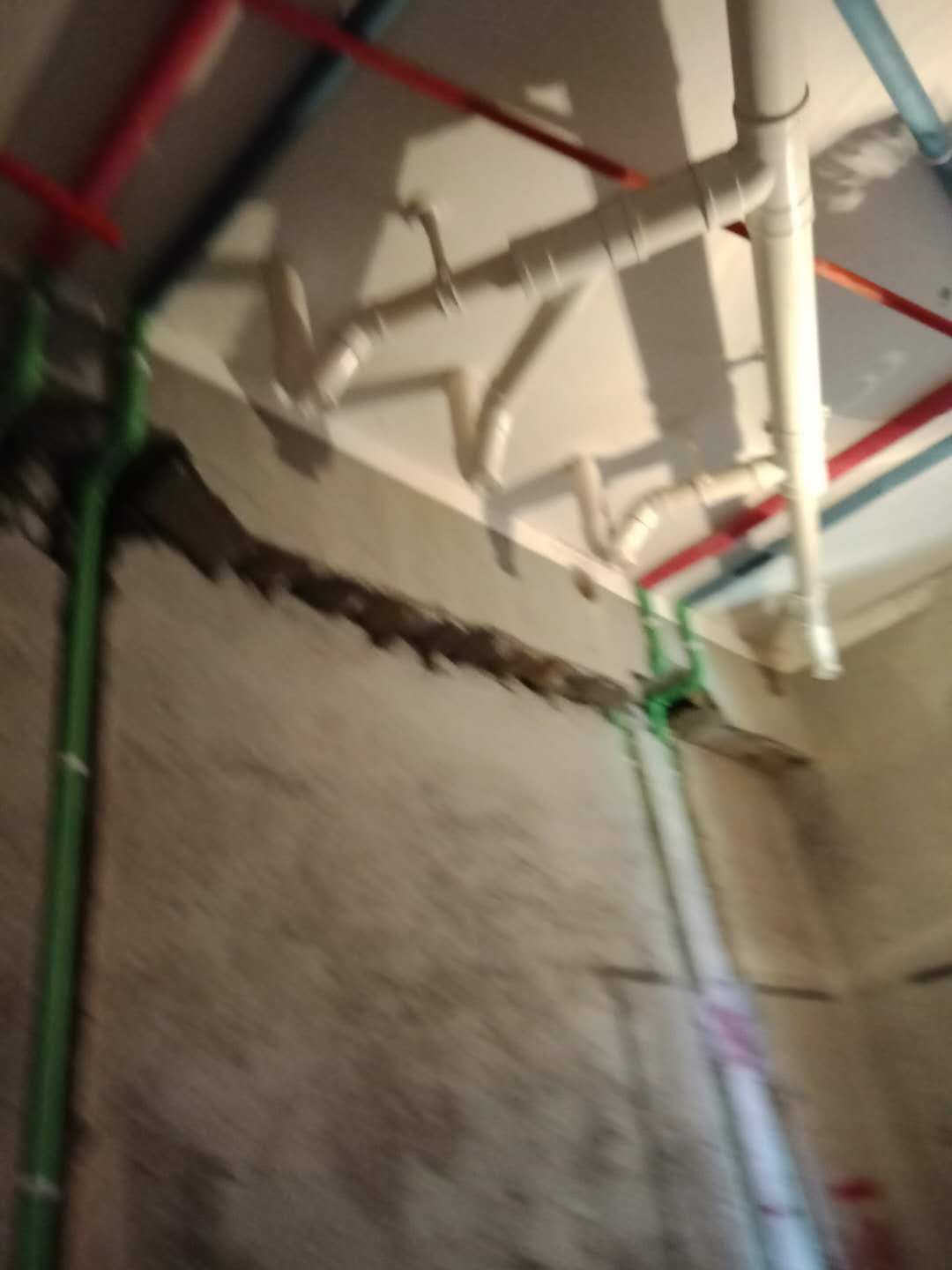255999093728336558.jpg
