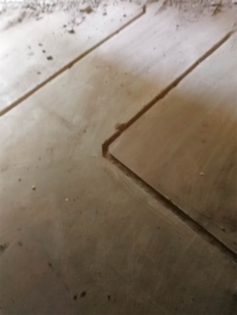 477049188617910433.jpg