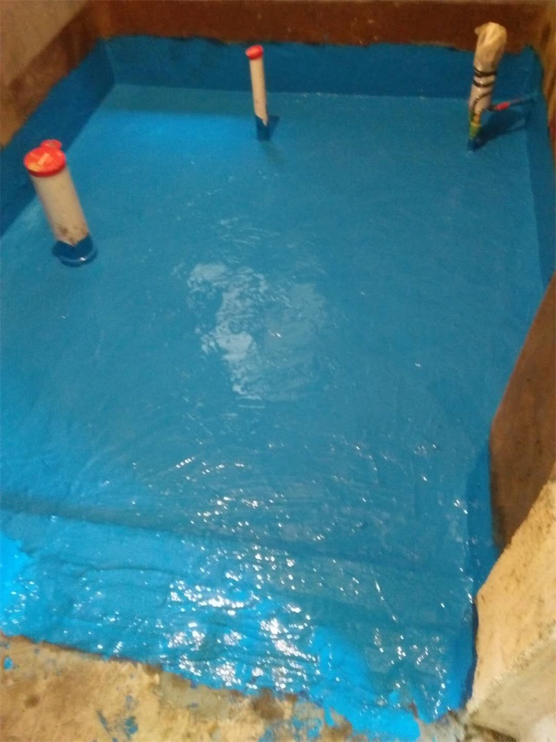 24974433458708361.jpg
