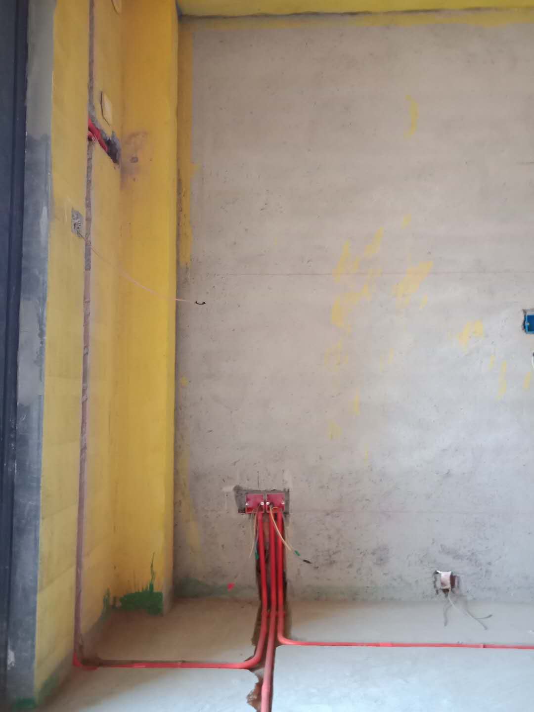 3307822009929054.jpg
