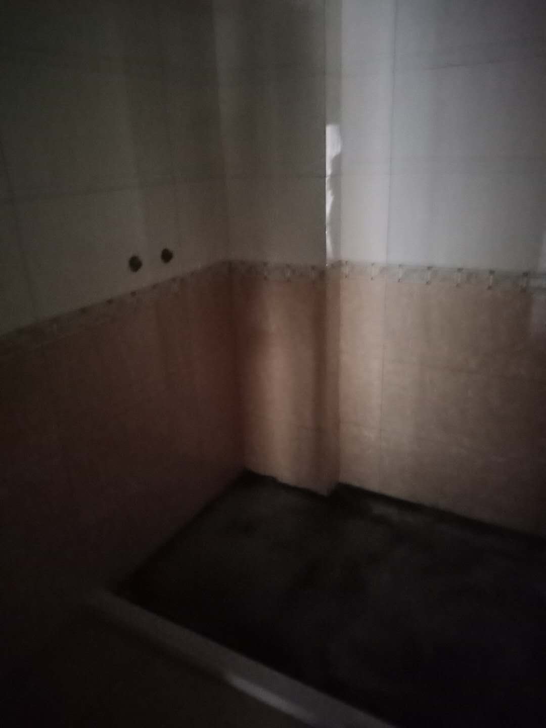 561987944566964343.jpg