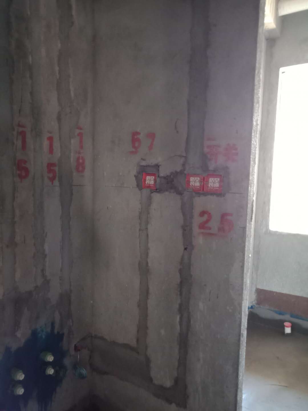 477644525526011359.jpg