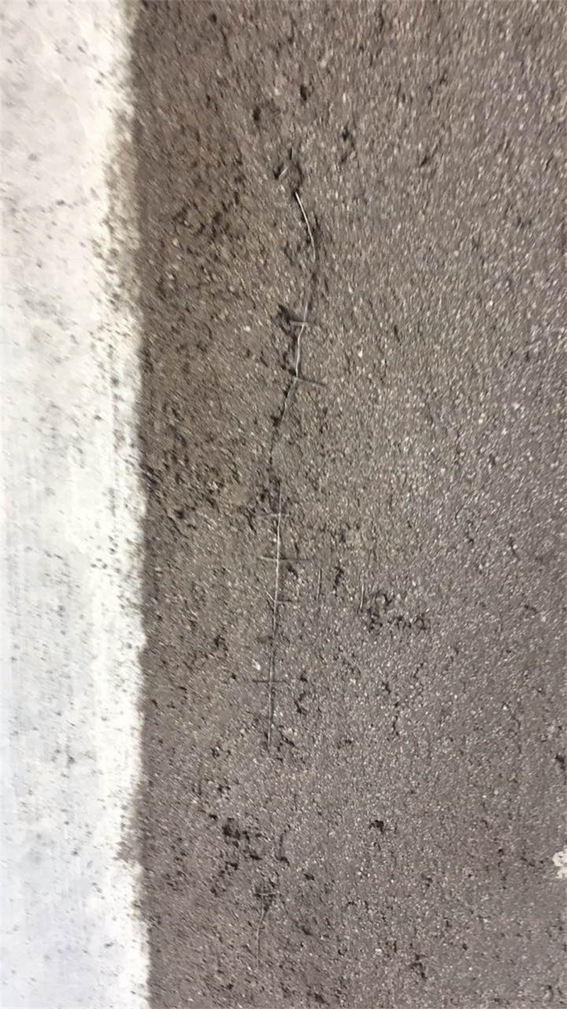 605188391881941608.jpg