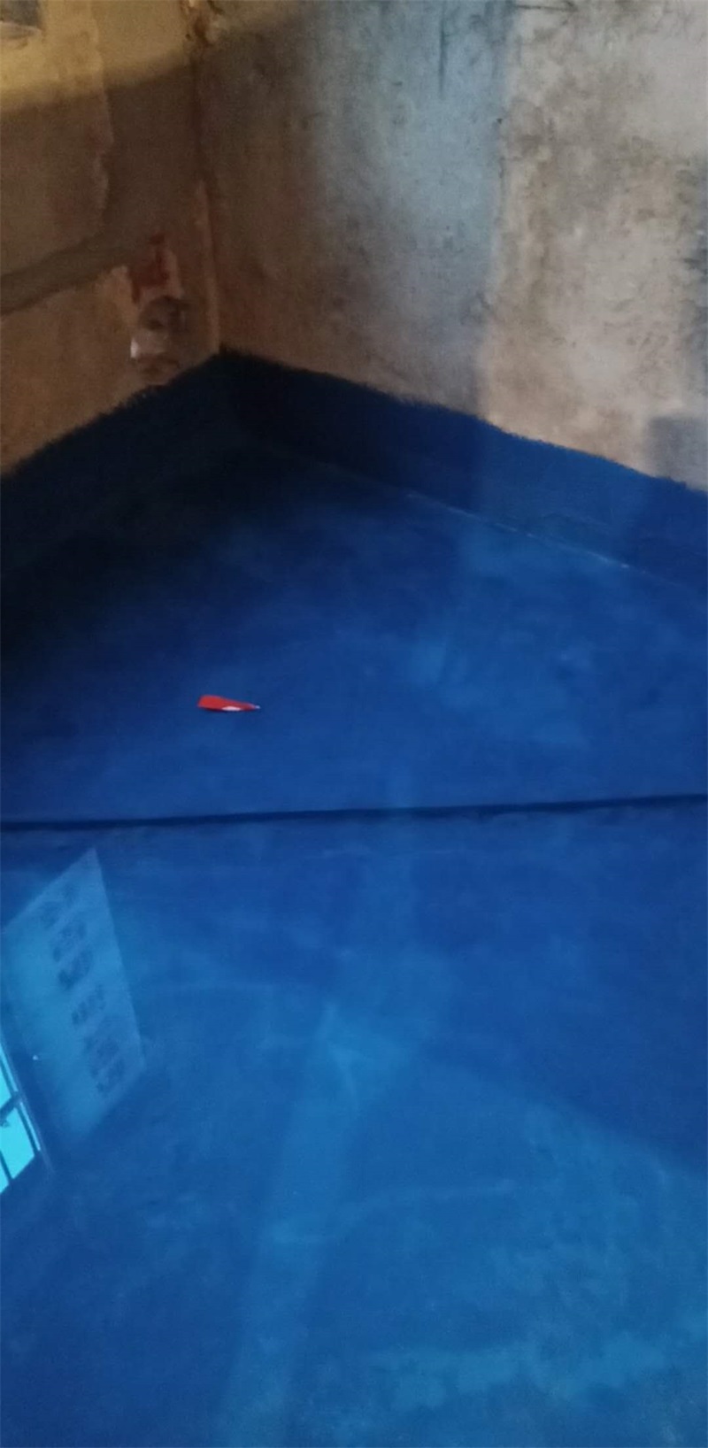262162752874131844.jpg