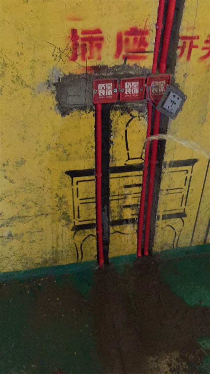 351145479699897067.jpg