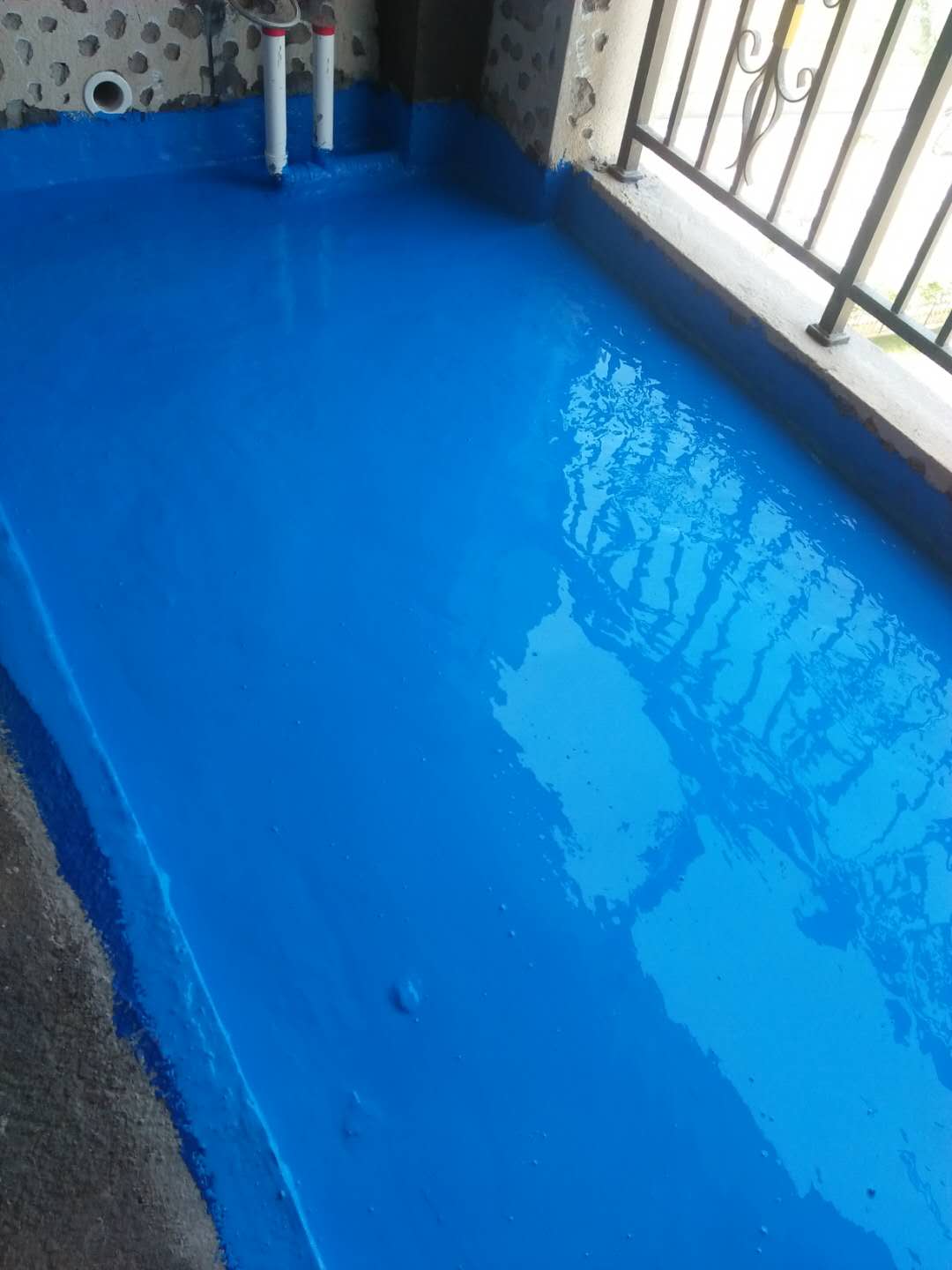 693487675239540352.jpg