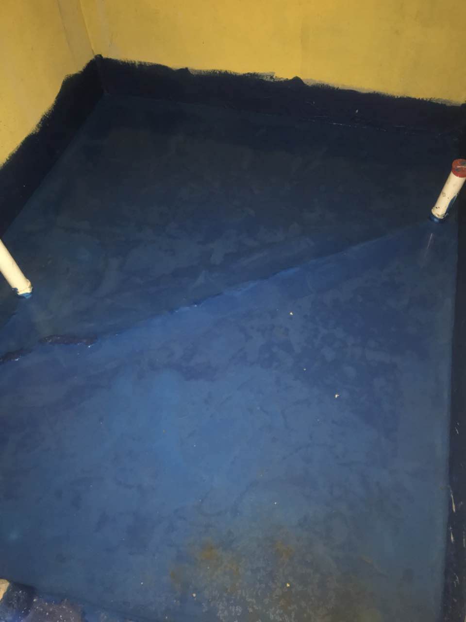 643475985532004880.jpg