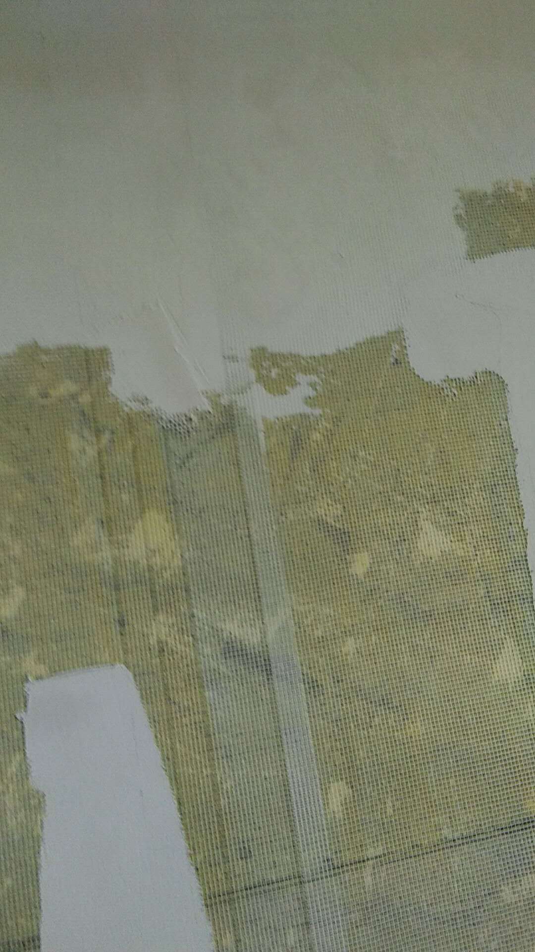 270660813765172057.jpg