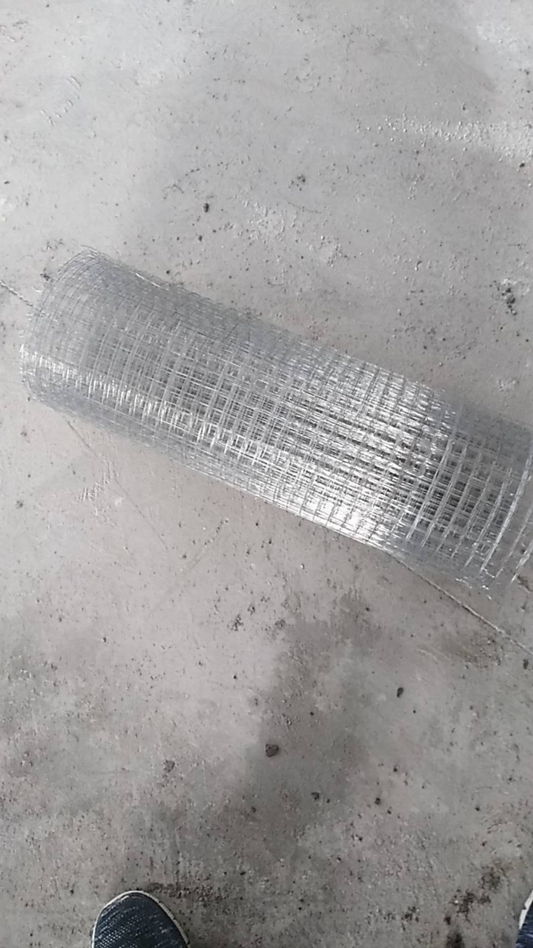 866007904432026672.jpg